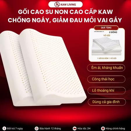 Admin giới thiệu:  Gối cao su non cao cấp KAW, cao su mềm mại thoáng khí chống nóng mùa hè Chống Mỏi Vai Gáy Chống Ngáy